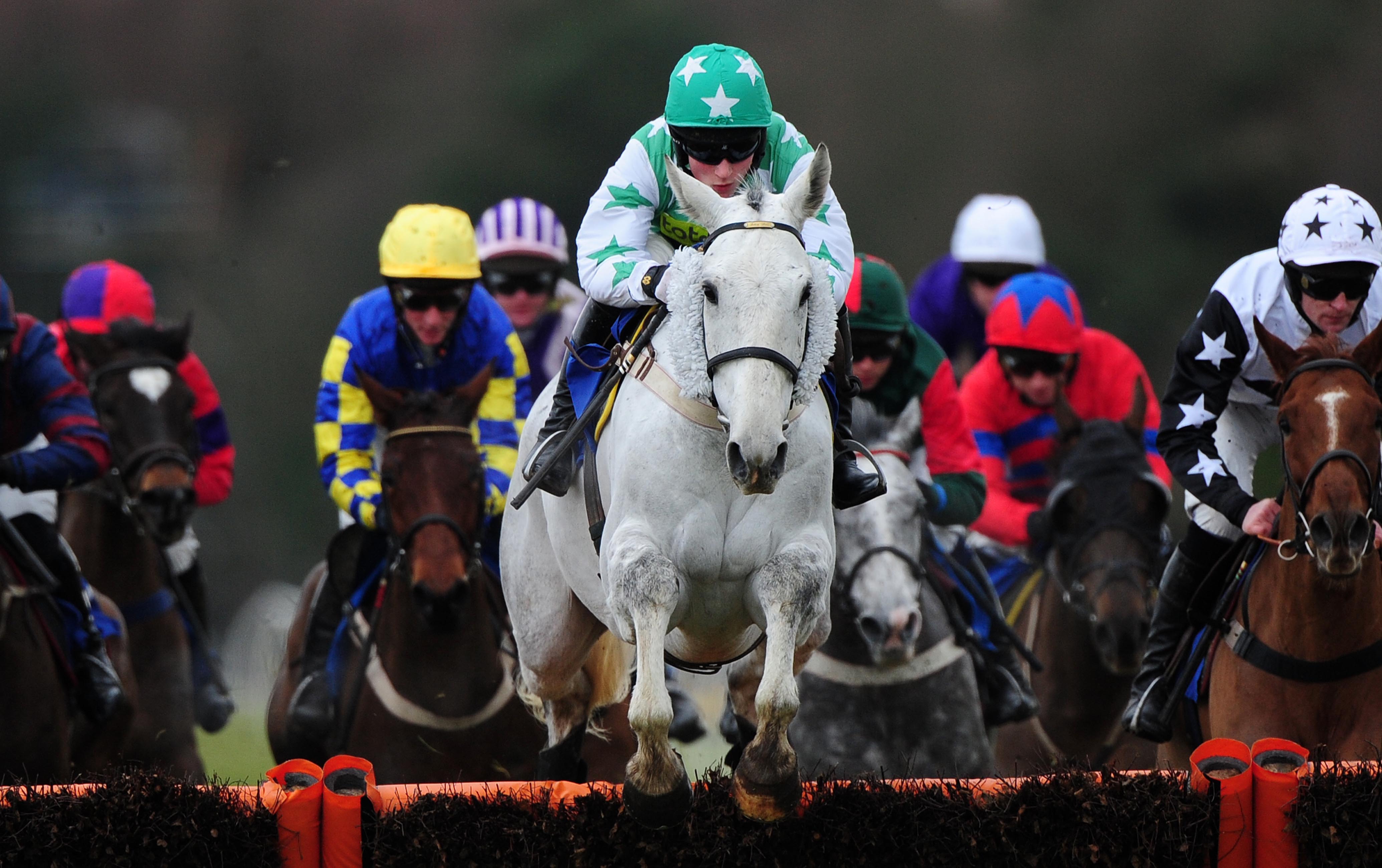 Jump racing stars to line up at Exeter Racecourse The Exeter Daily